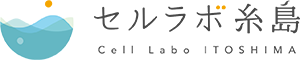 セルラボ糸島